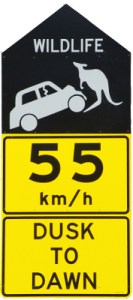 roadkill_sign
